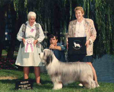 Barney won reserve Winners dog at his first BCCA Specialty